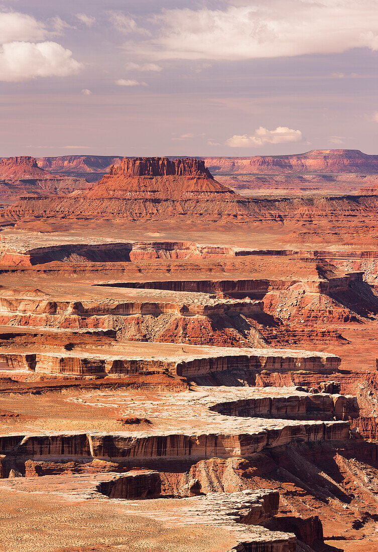 Grand View Point, Green River Overlook, Island In The Sky, Canyonlands National Park, Utah, USA