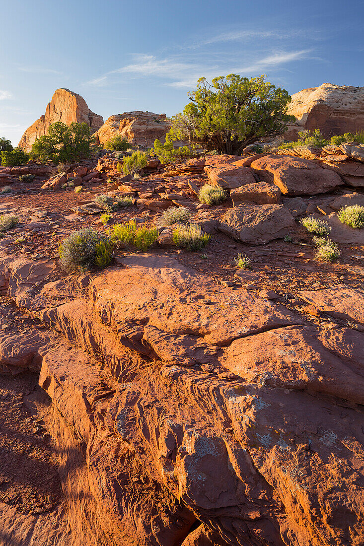 Grand View Point, Island In The Sky, Canyonlands National Park, Utah, USA