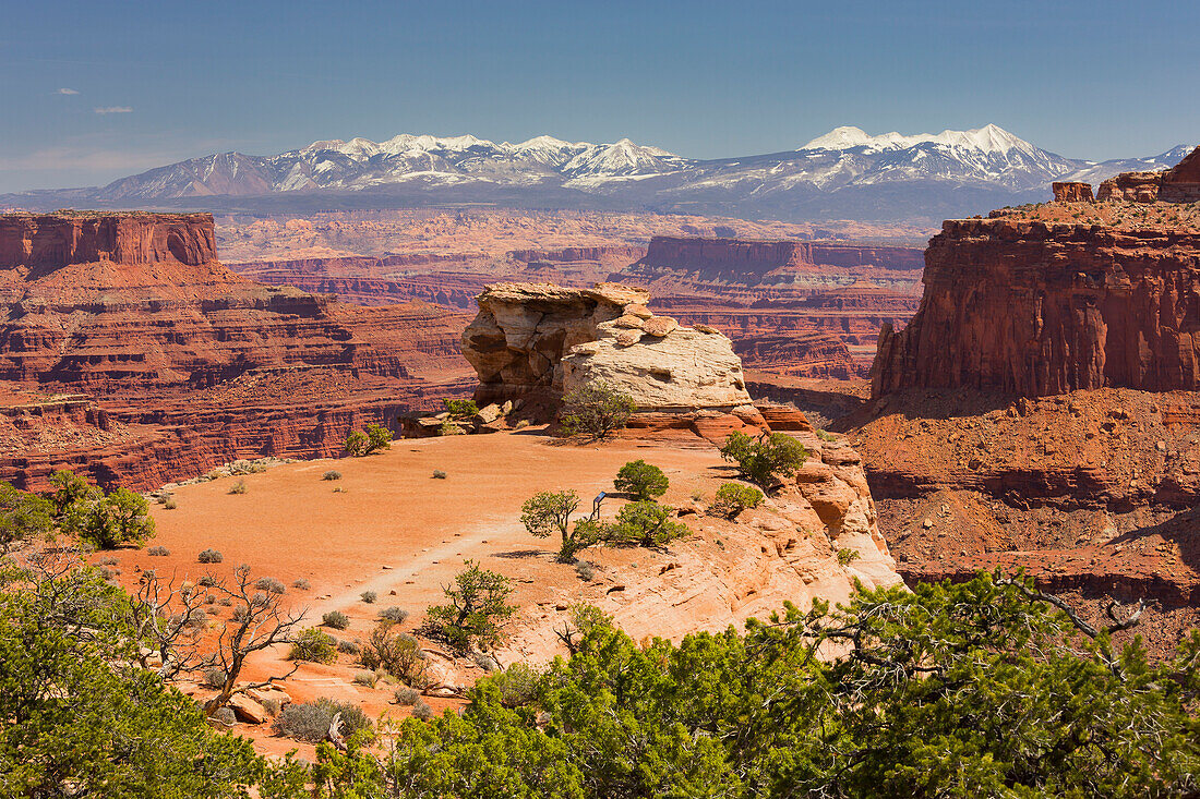 Shafer Trail Overlook, Canyonlands National Park, La Sal Mountains, Utah, USA