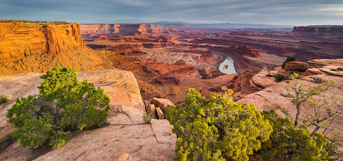 Dead Horse Point, Colorado River, Dead Horse Point State Park, Canyonlands National Park, Utah, USA