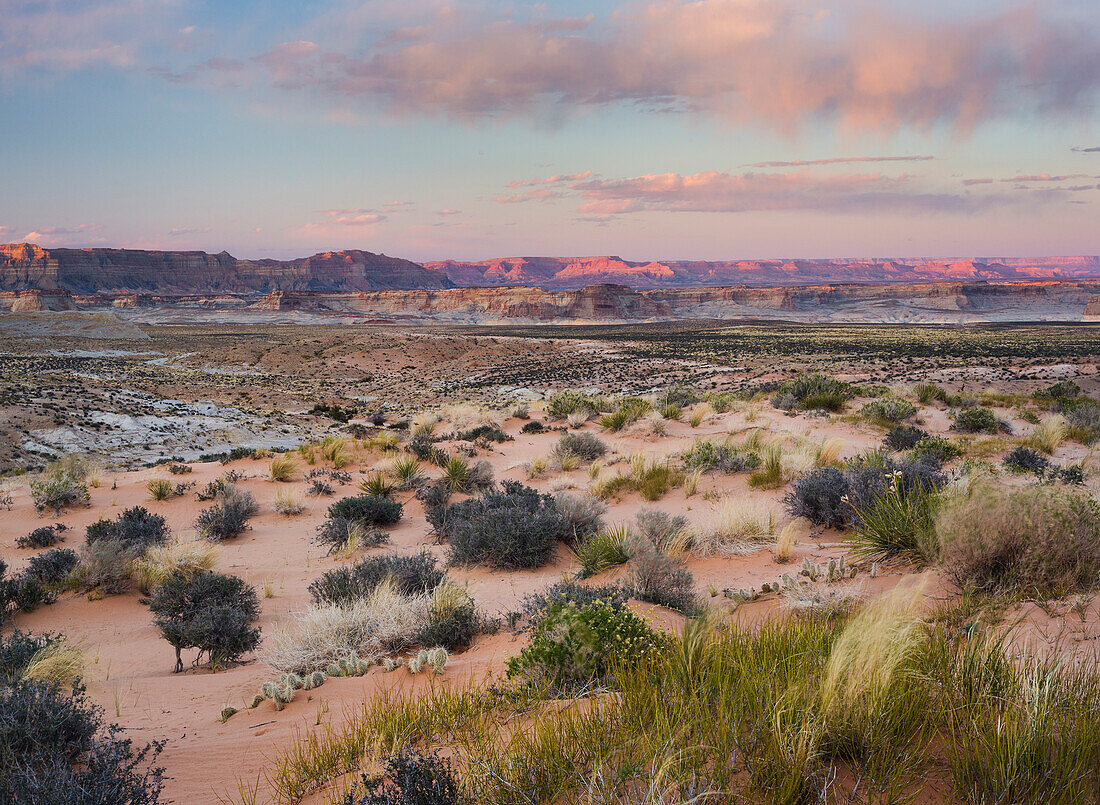 Wüste nahe Wahweap, Glen Canyon National Recreation Area, Utah, USA
