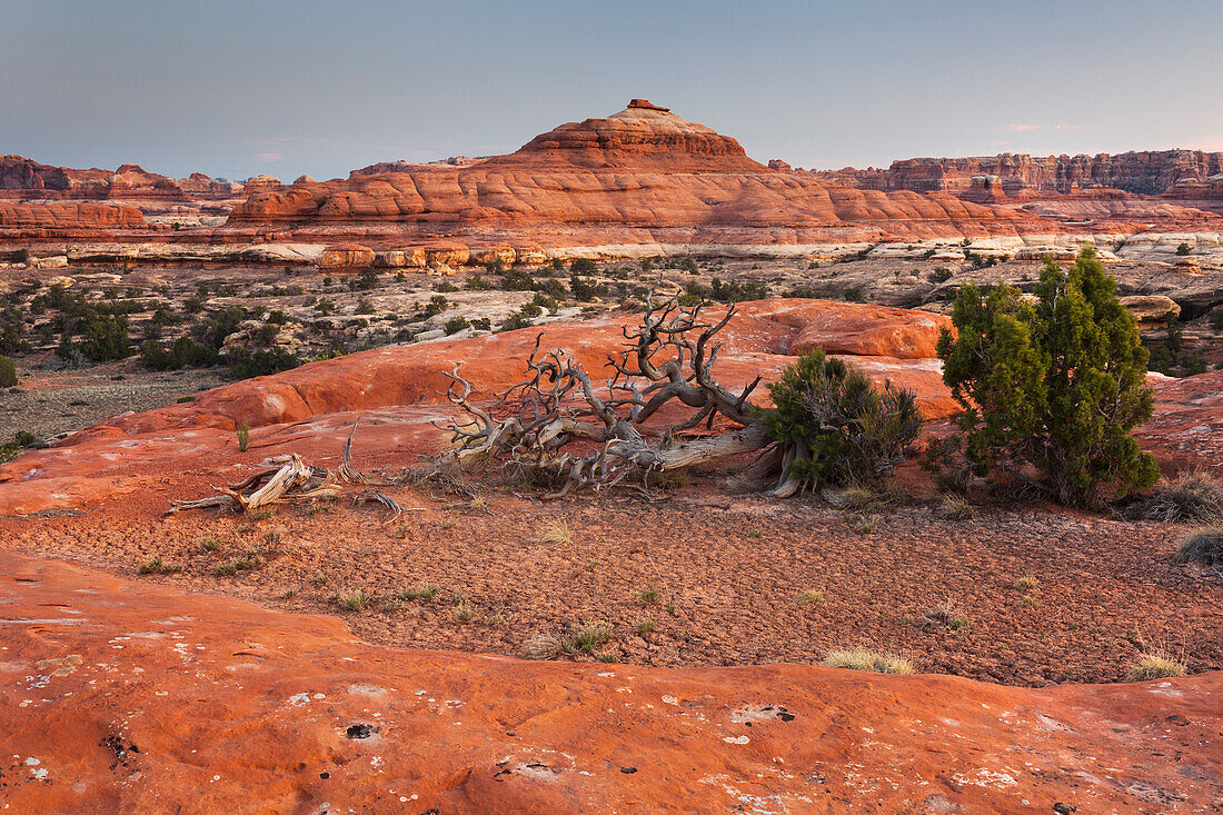 Needles District, Canyonlands National Park, Utah, USA