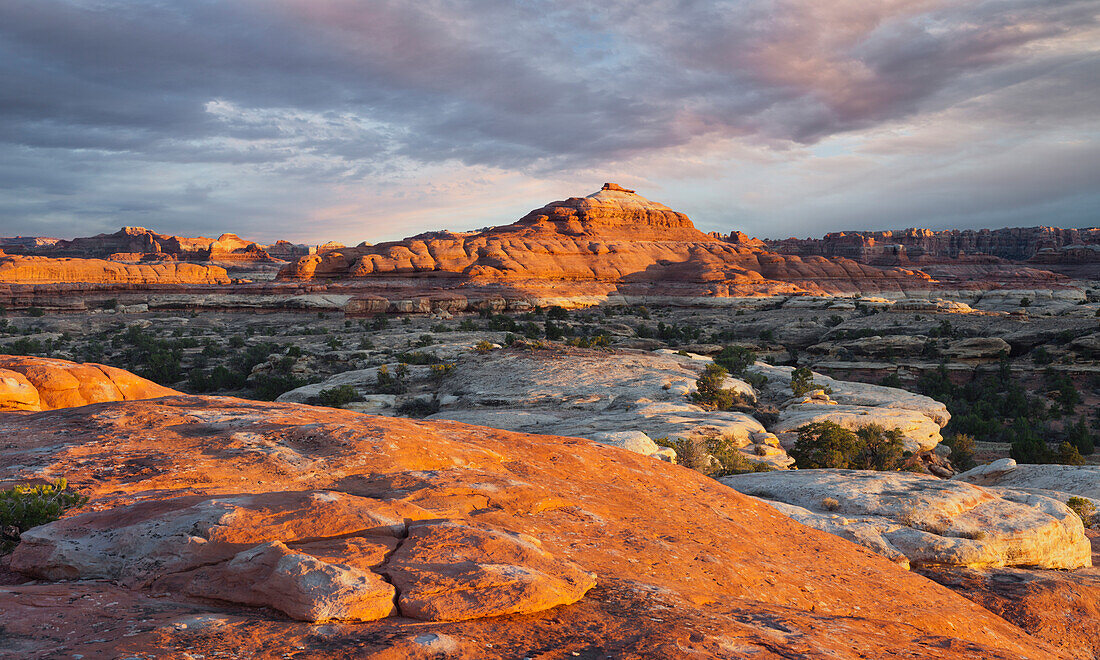 Needles District, Canyonlands National Park, Utah, USA