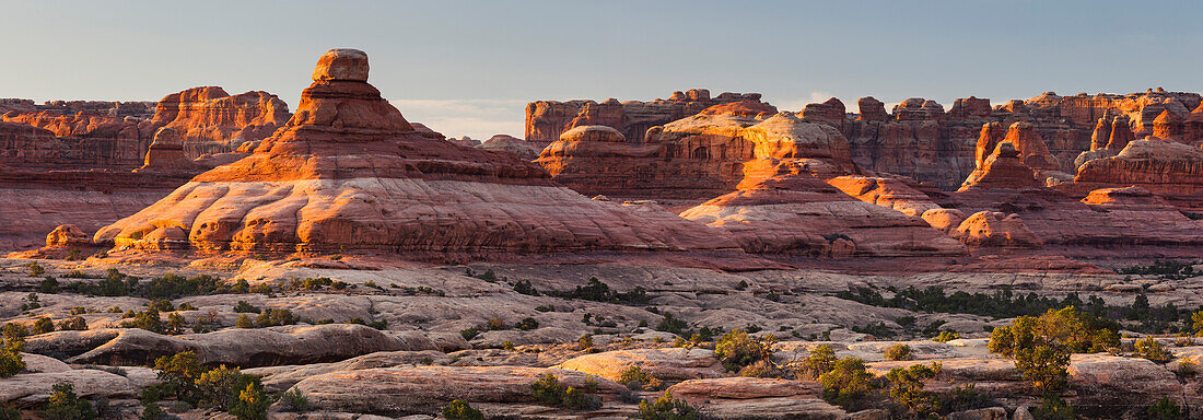 Needles District, Canyonlands National Park, Utah, USA