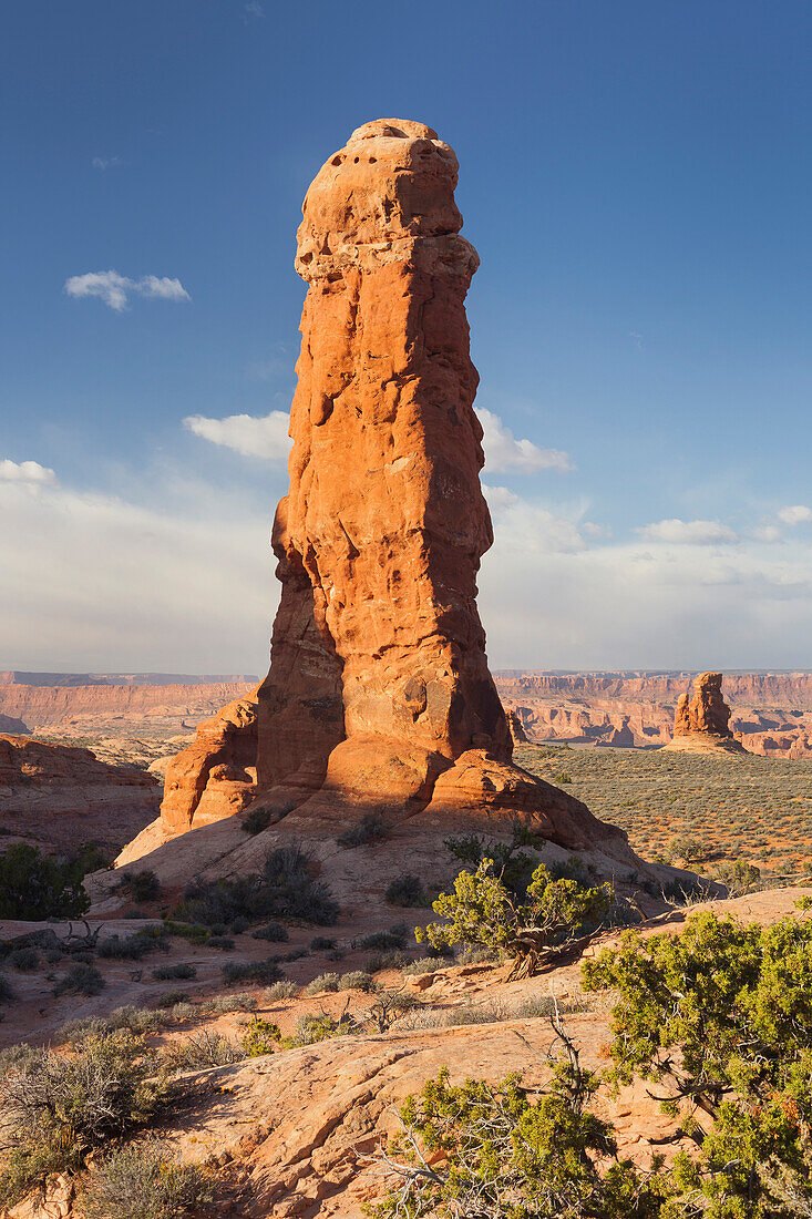 Sandsteinformationen, Garden of Eden, Elephant Butte, Arches National Park, Moab, Utah, USA