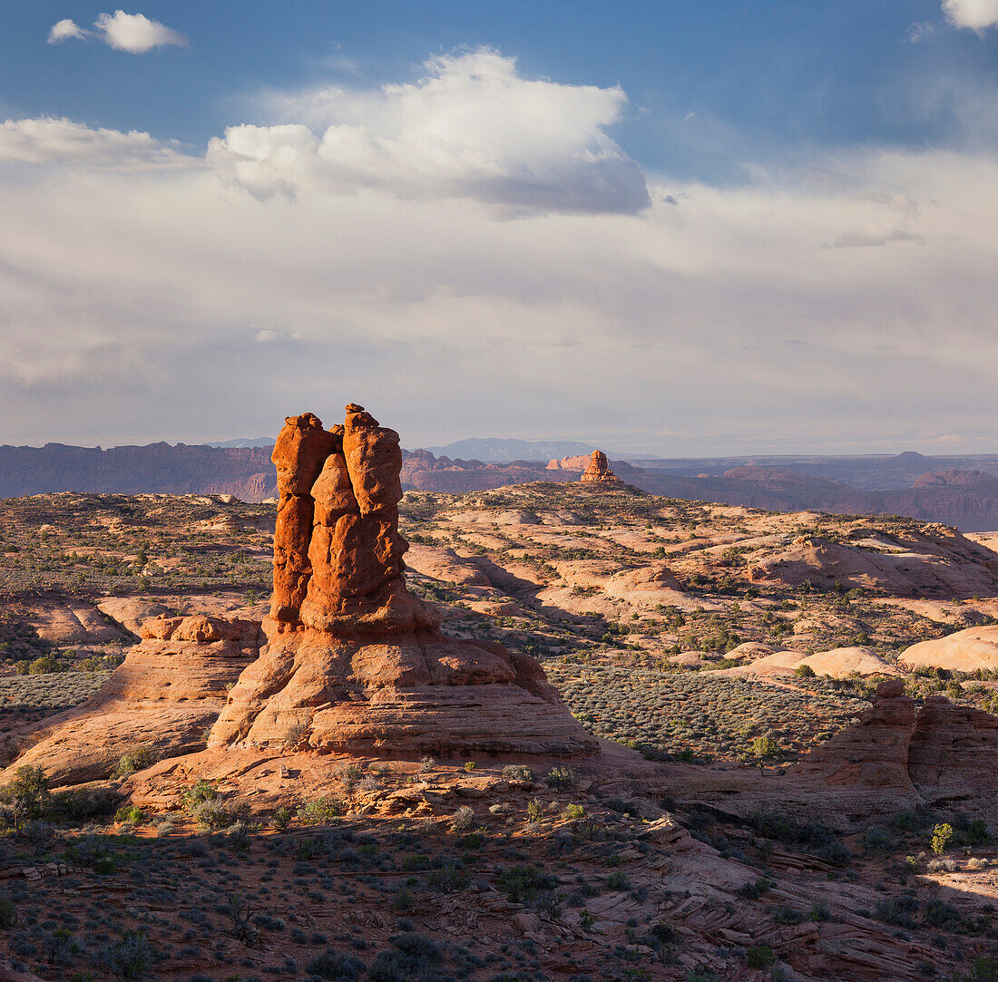 Sandsteinformationen, Garden of Eden, Elephant Butte, Arches National Park, Moab, Utah, USA