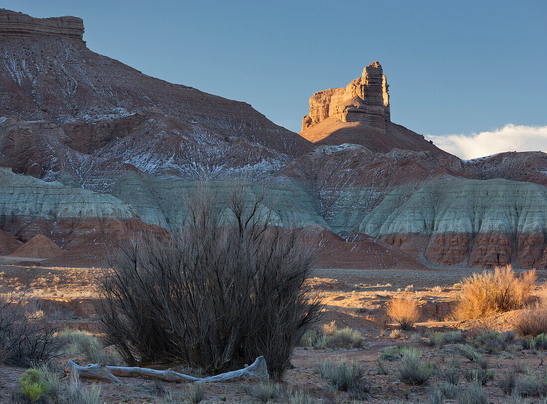 Wüste nahe der Wild Horse Road No1013, Utah, USA