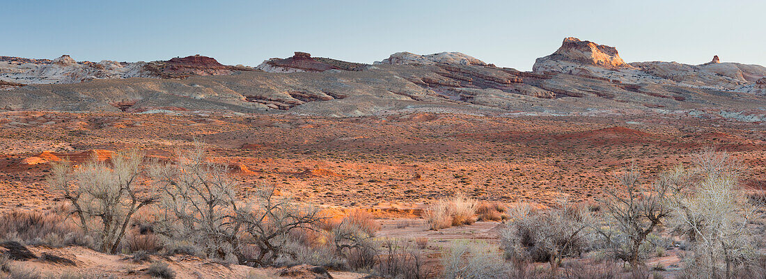 Wüste nahe der Wild Horse Road No1013, Utah, USA