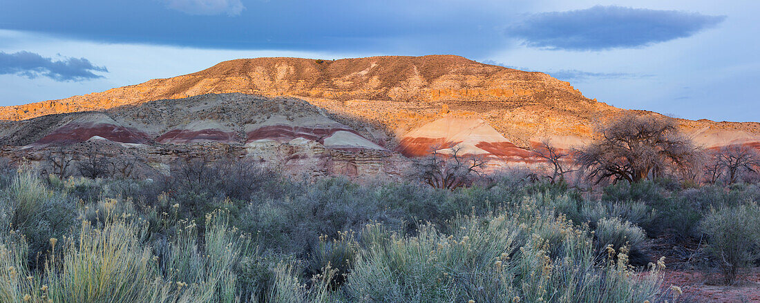 Vegetation im Fremont River Valley, Capitol Reef National Park, Utah, USA