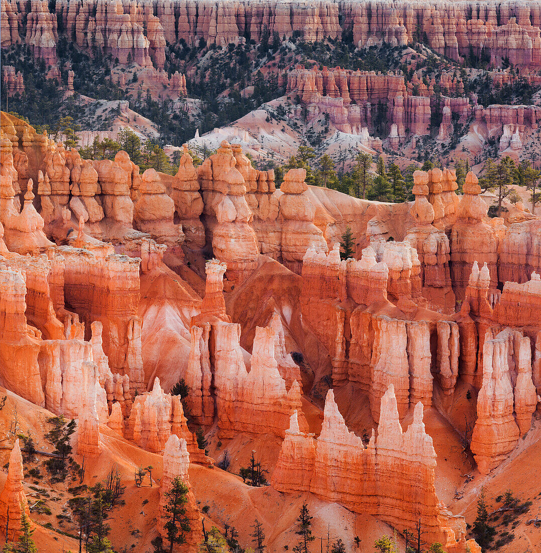 Sunset Point, Bryce Canyon National Park, Utah, USA