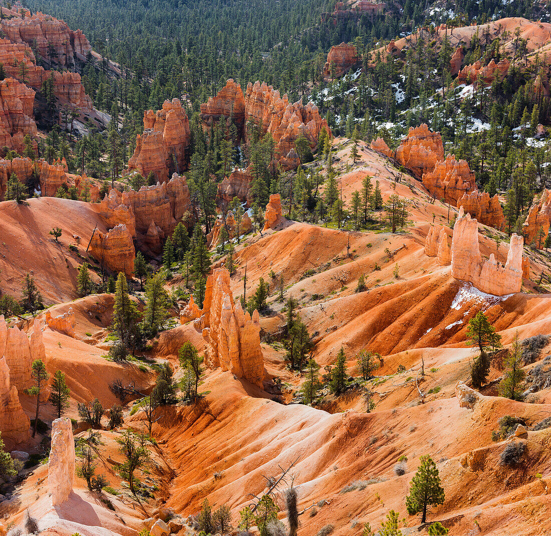 Sunrise Point, Bryce Canyon National Park, Utah, USA