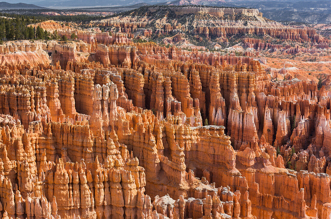 Sunrise Point, Hoodoos, Bryce Canyon National Park, Utah, USA