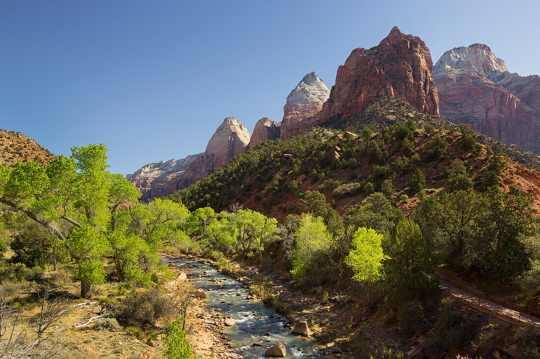 Mountain of the Sun, Cottonwood, Virgin River, Zion National Park, Utah, USA