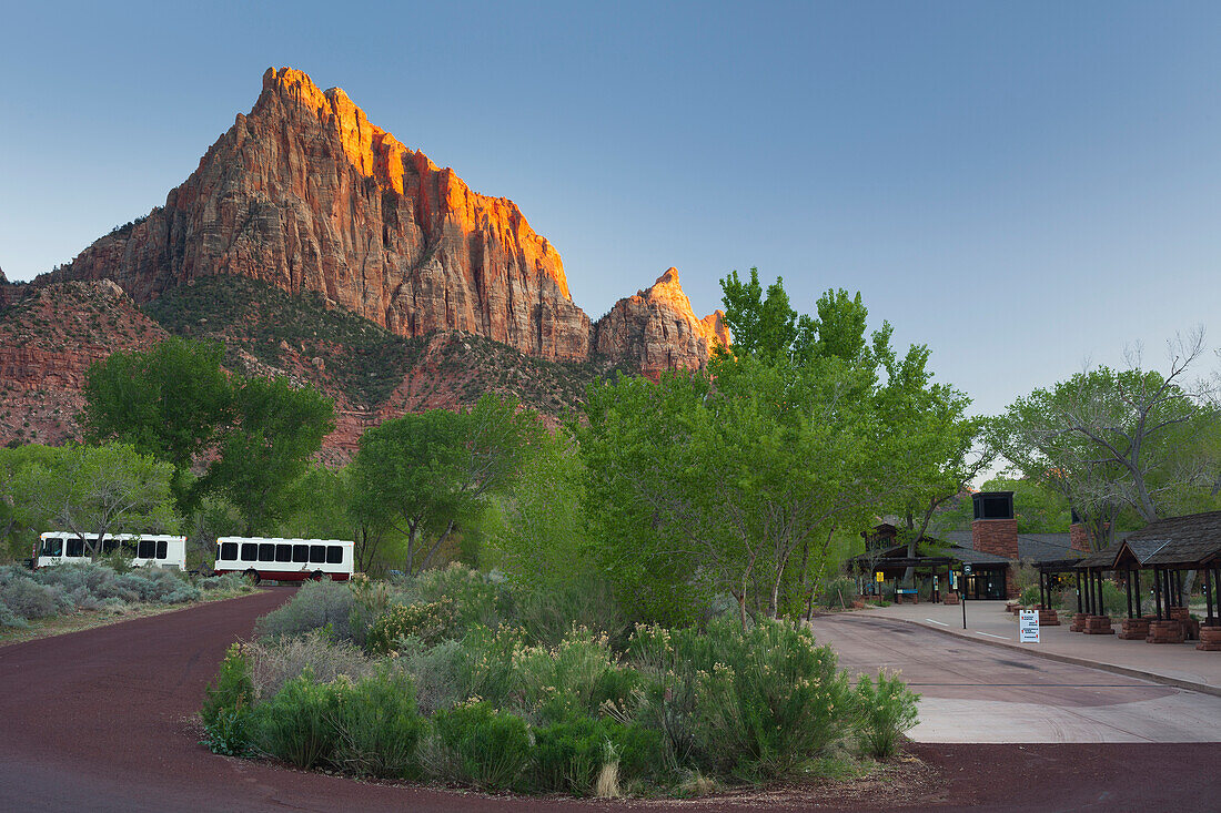 Bushaltestelle, The Watchman, Zion National Park, Utah, USA