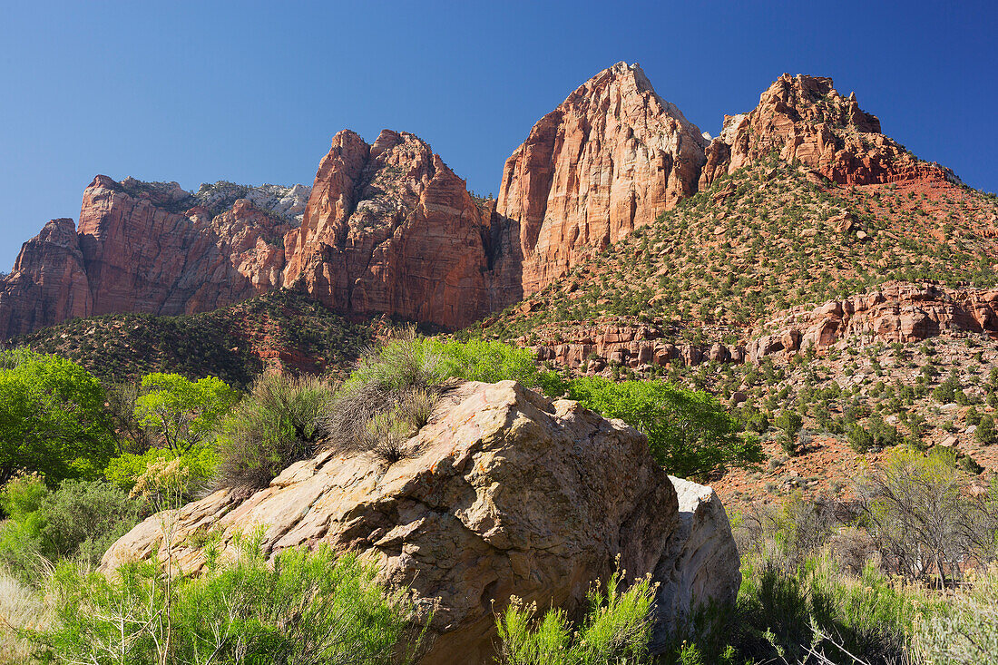 Towers of the Virgin, Zion National Park, Utah, USA