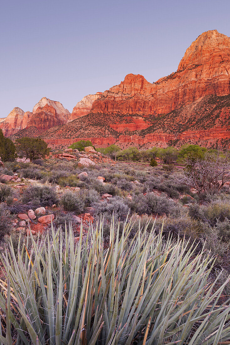 Bridge Mountain, Zion National Park, Utah, USA