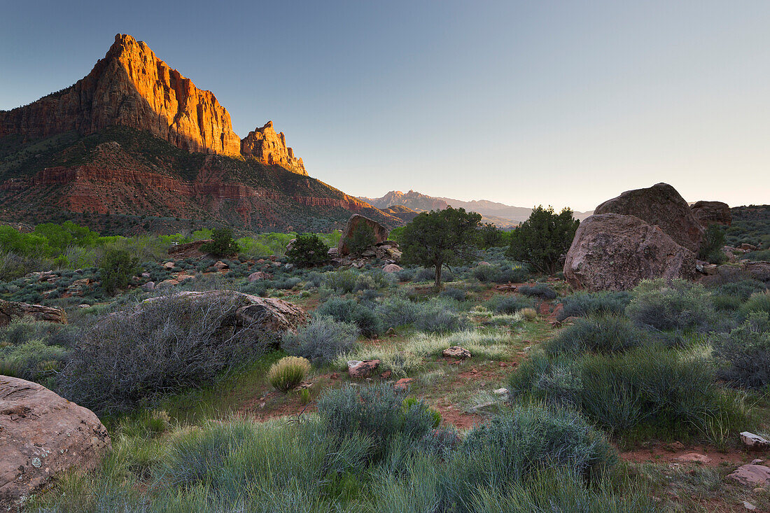 The Watchman, Zion National Park, Utah, USA