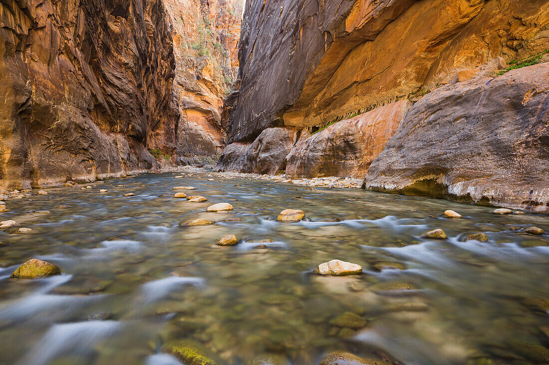 Virgin River, Narrows, Schlucht, Zion National Park, Utah, USA