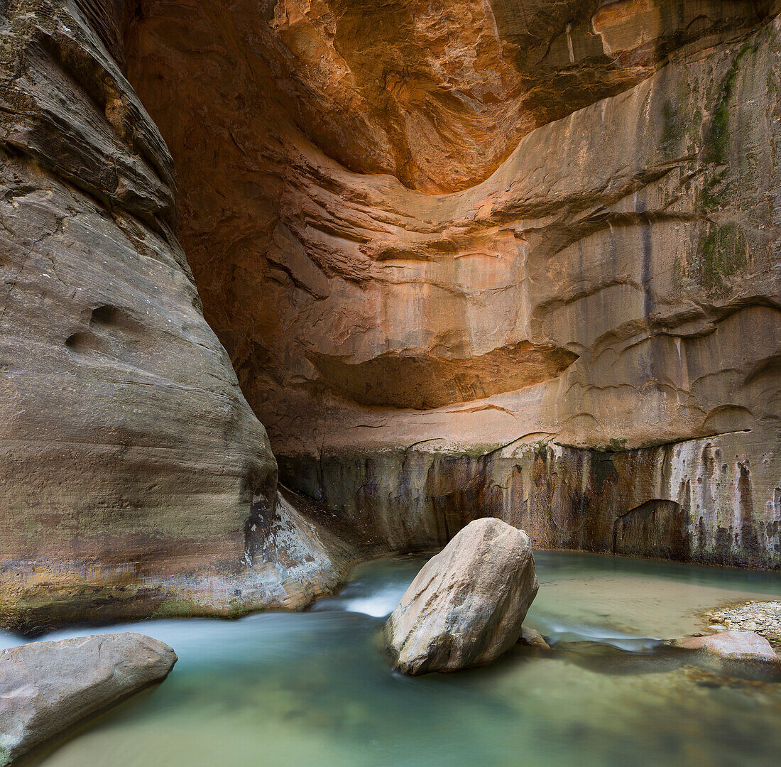 Virgin River, Narrows, Schlucht, Zion National Park, Utah, USA