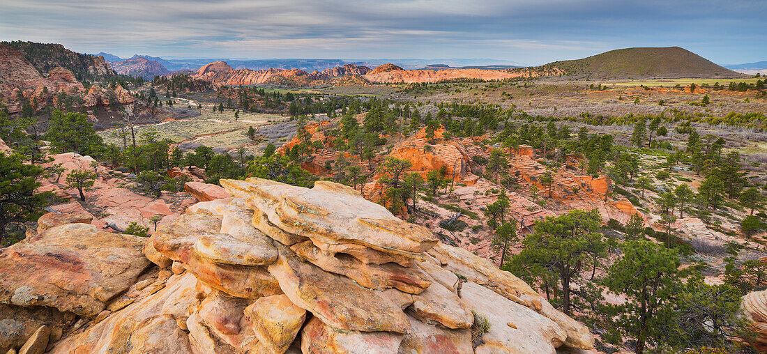 Gesteinsformationen am Lower Kolob Plateau, Zion National Park, Utah, USA