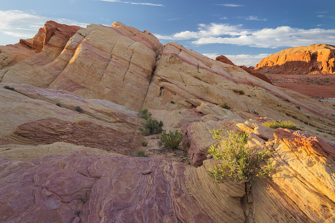 Sandstein, Valley of Fire State Park, Nevada, USA