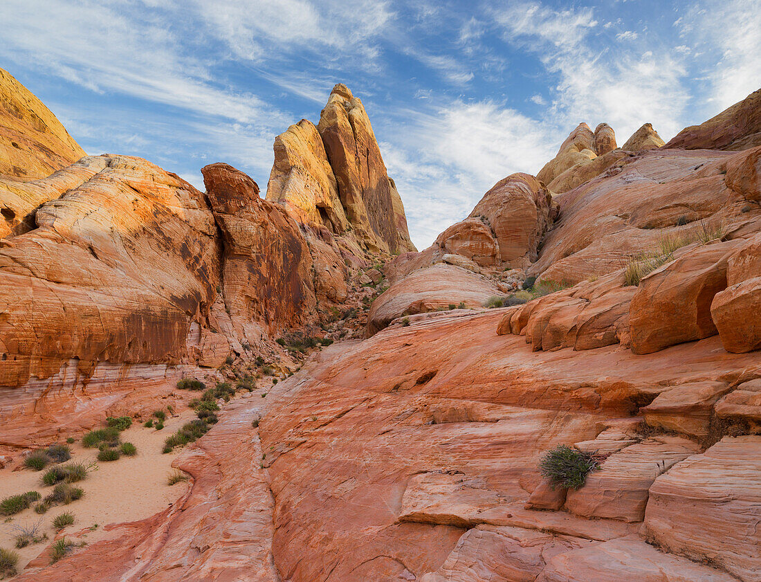 Sandstone, Valley of Fire State Park, Nevada, USA