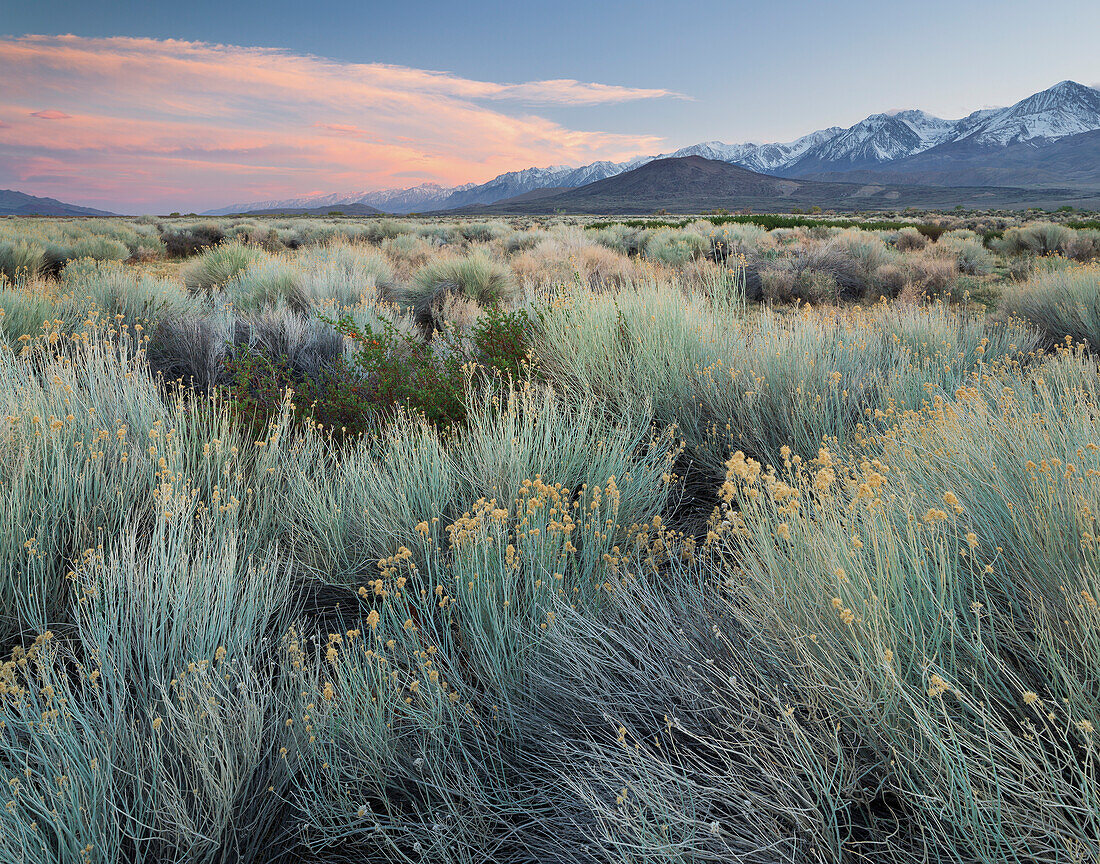 Owens River Valley, Sierra Nevada, California, USA