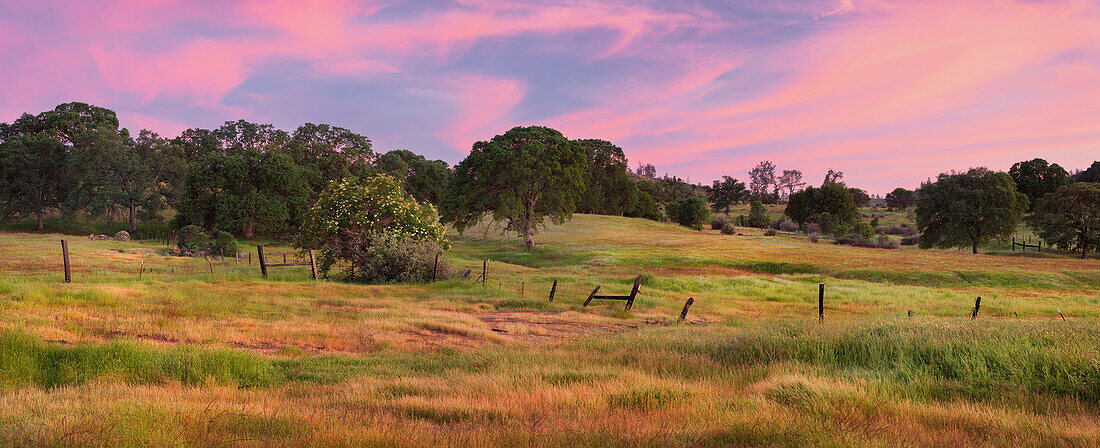 Abendstimmung nahe Jamestown, Kalifornien, USA