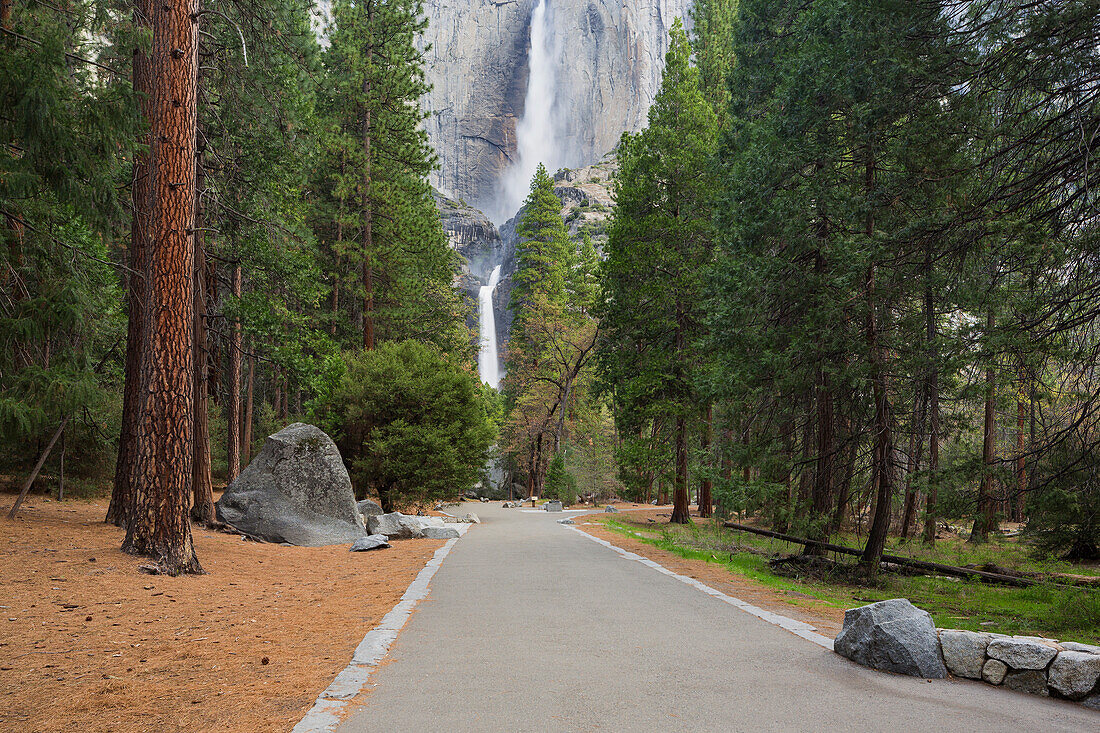 Path to the Lower Yosemite Falls, Yosemite Creek, Yosemite National Park, California, USA