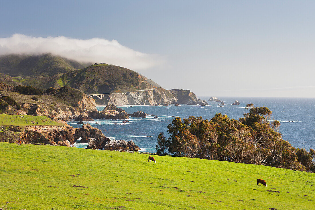 Rocky Point, Big Sur, Cabrillo Highway 1, California