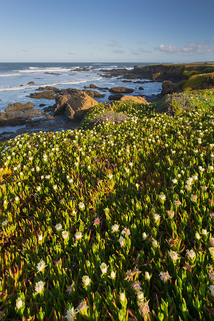 Pigeon Point, Cabrillo Highway 1, California