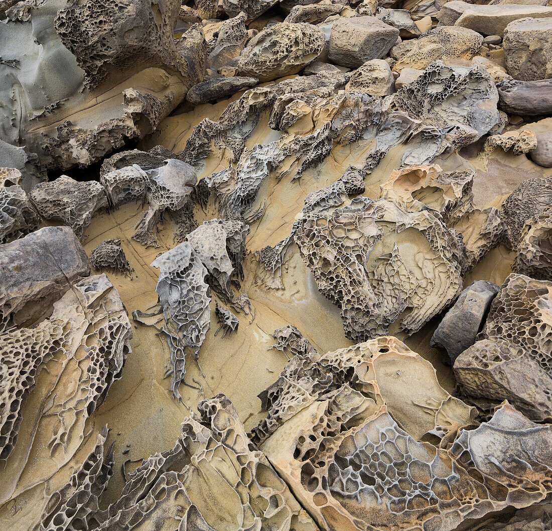 Sandstein, Salt Point State Park, Sonoma Coast, Kalifornien, USA