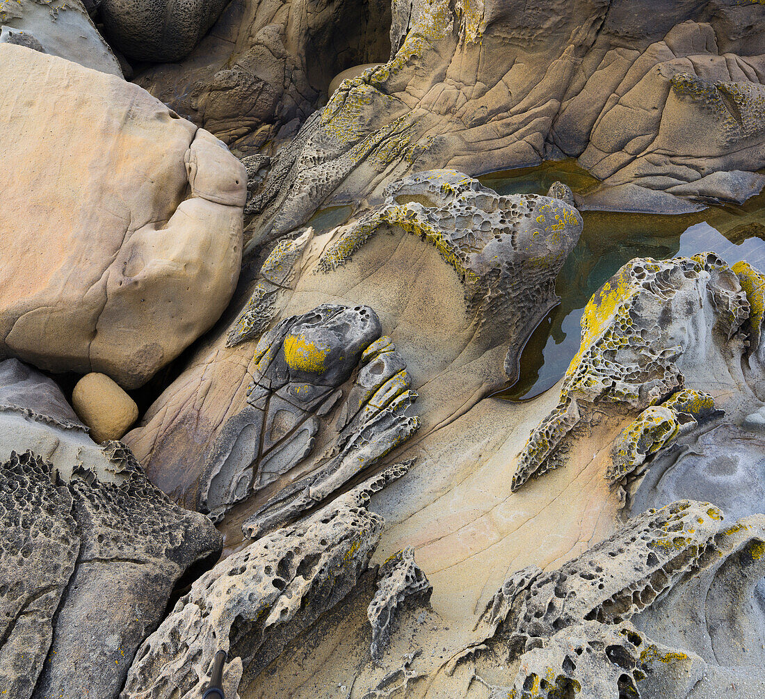 Sandstein, Salt Point State Park, Sonoma Coast, Kalifornien, USA