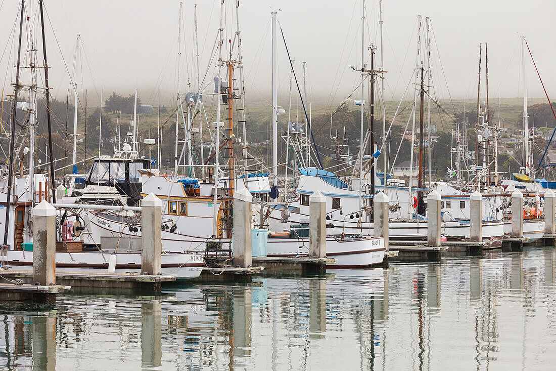 Spud Point Marina, Bodega Bay, California, United States