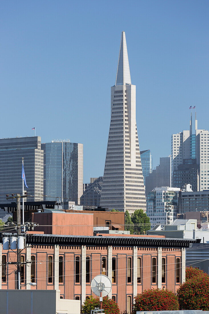 Transamerica Pyramid, San Francisco, Californien, USA