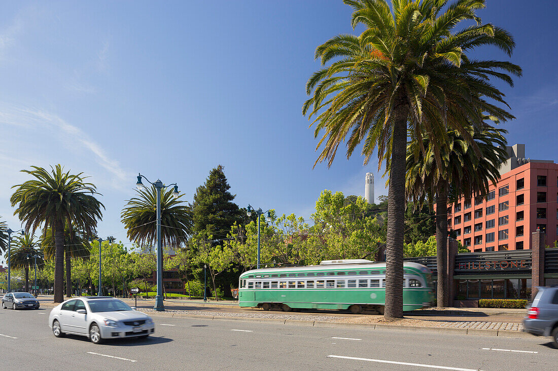 The Embarcadero, Strassenbahn, Palme, San Francisco, Kalifornien, USA