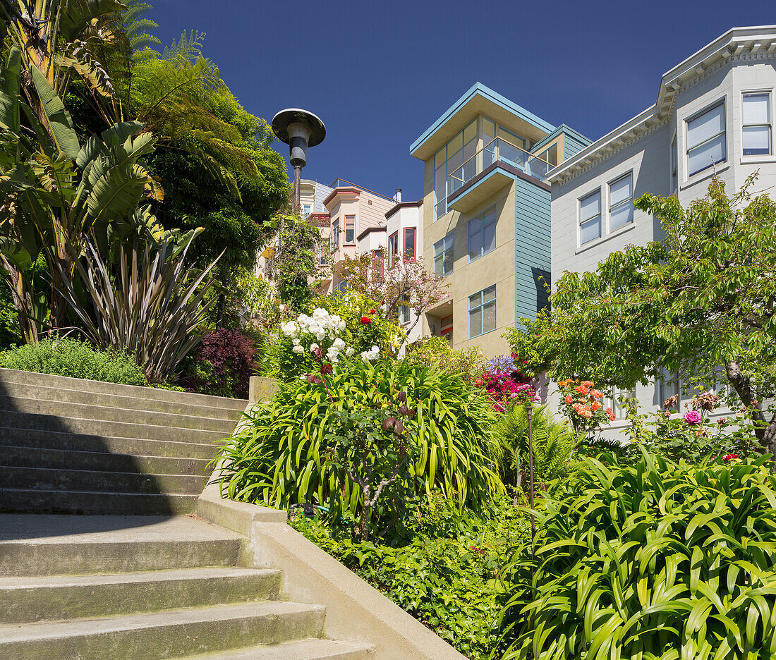 Stairs in Vallejo Street, Telegraph Hill, San Francisco, California, USA