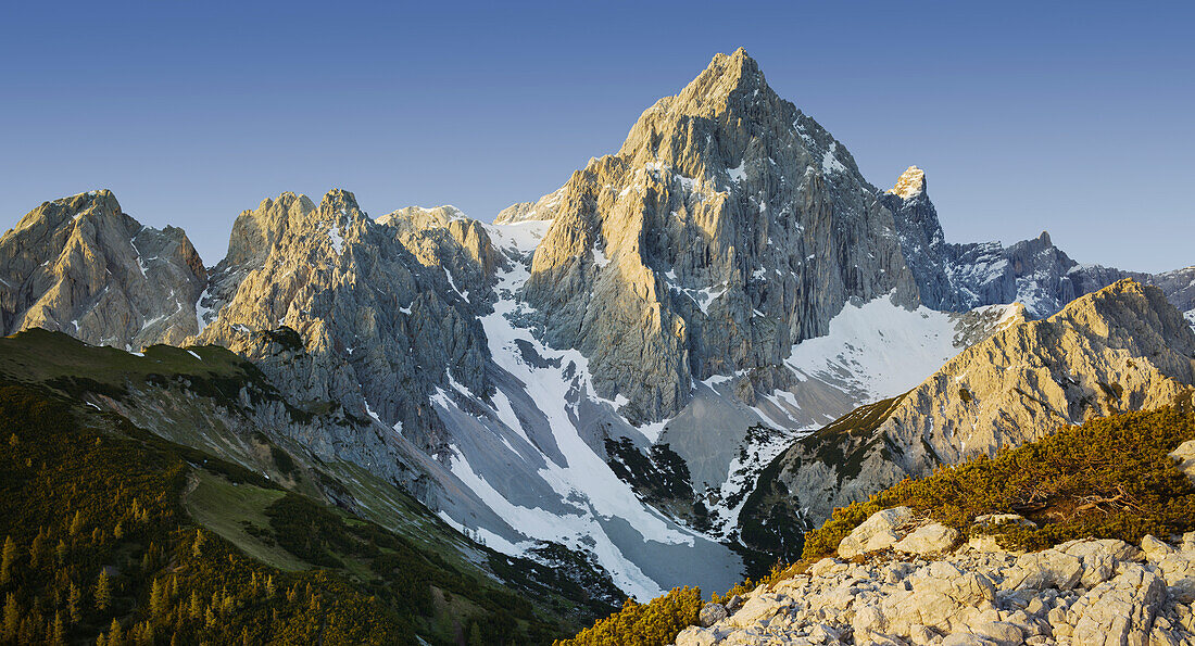 Torstein from the Sulzenhals, Dachsteinmassiv, Latschen, Salzburg, Austria