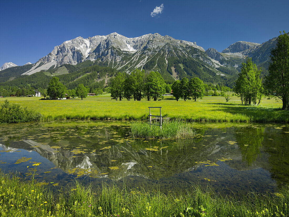 Ramsau, Scheichenspitze, Dachsteinmassiv, Teich, Steiermark, Österreich