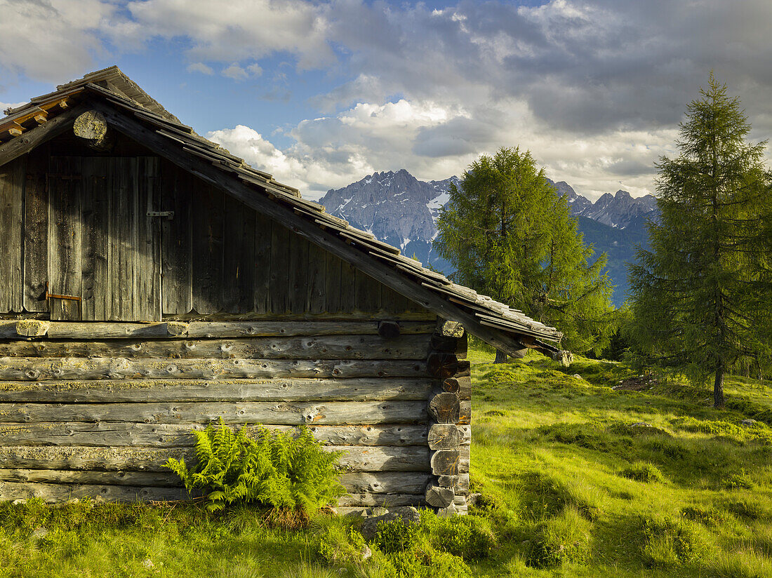 Holzhütte on the Winkleralm, Lienz Dolomites, East Tyrol, Tyrol, Austria