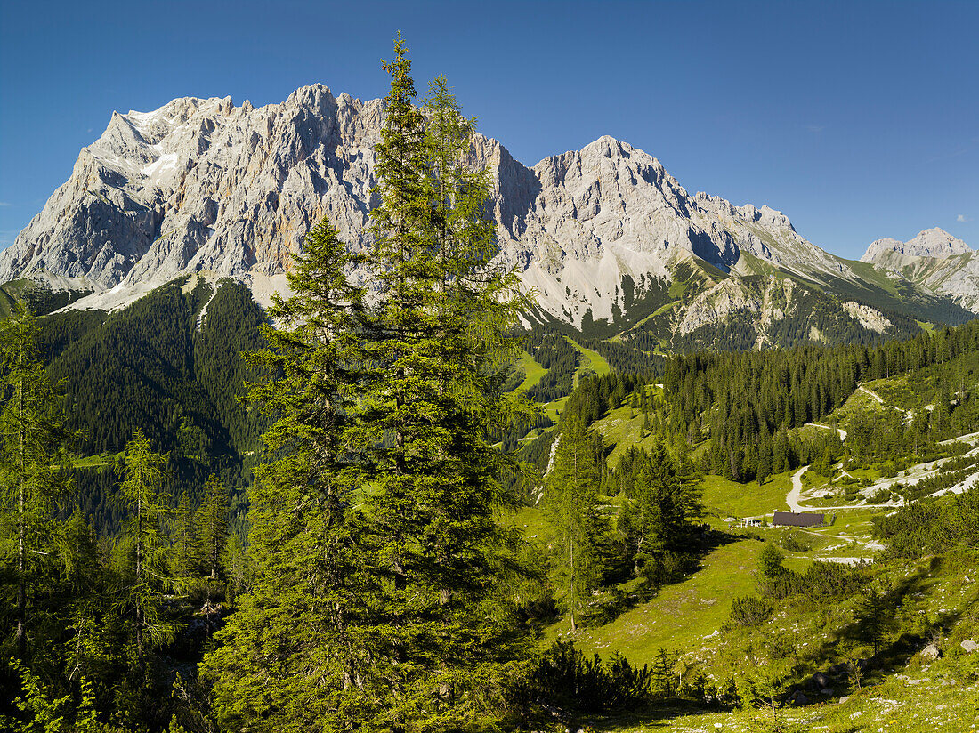 Zugspitze vom Mieminger Gebirge, Wettersteingebirge, Tirol, Österreich