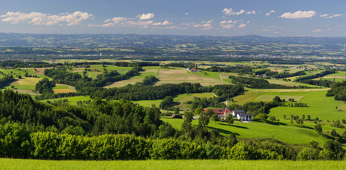 Alpenvorland, naher Waidhofen an der Ybbs, Niederösterreich, Österreich