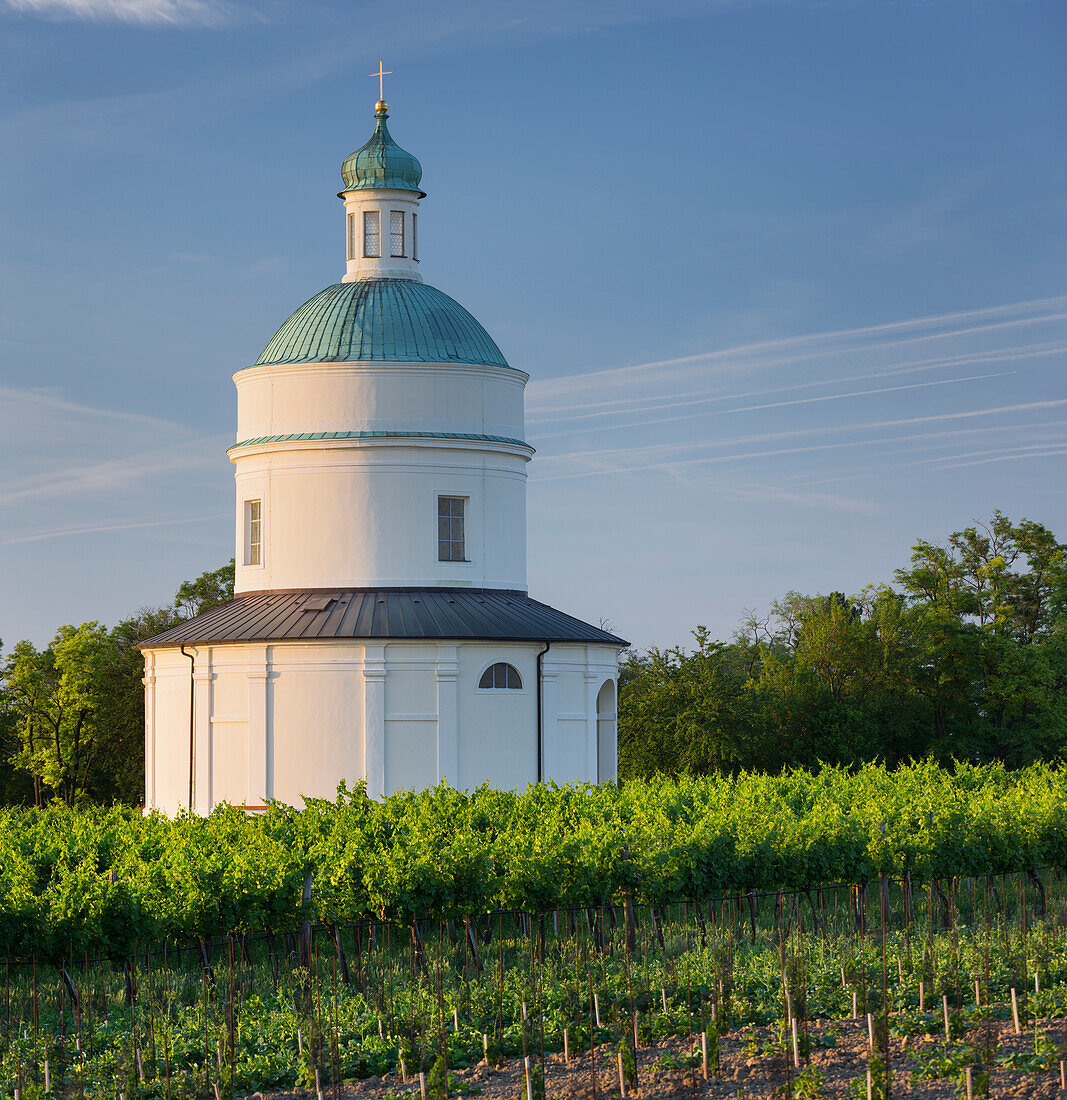 Rochuskapelle, Marchfeld, Angern, vineyards, Lower Austria, Austria