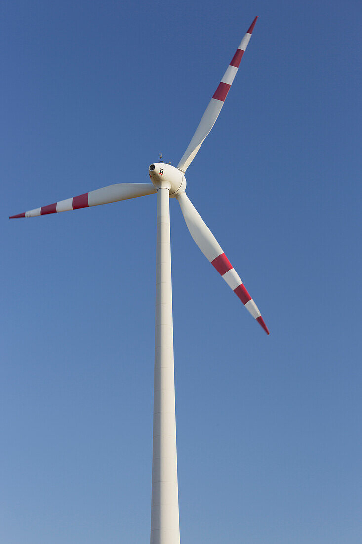 Windmill in the Vienna basin, near Fischamend, Lower Austria, Austria