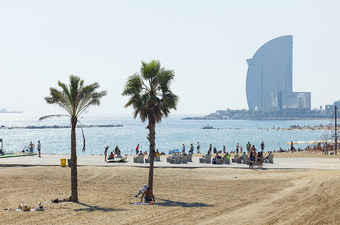Platja de Barceloneta, beach, palm trees, Hotel W Barcelona, Barceloneta, Barcelona, Catalunya, Catalonia, Spain, Europe