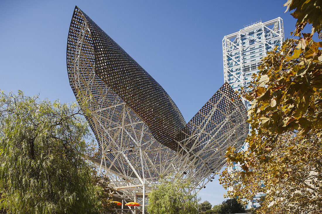 Fish, sculpture by Frank O. Gehry, Port Olimpic, Vila Olimpica, Barcelona, Spain