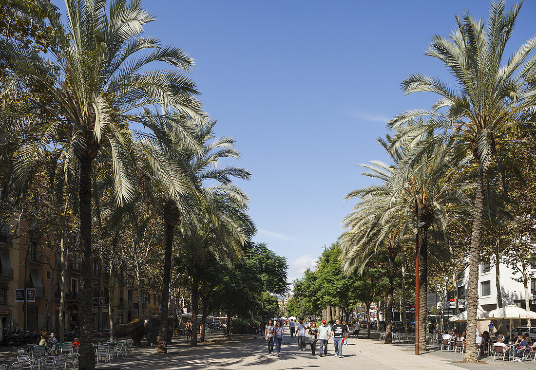 Rambla del Raval, El Raval, Ciutat Vella, Altstadt, Barcelona, Katalonien, Spanien, Europa