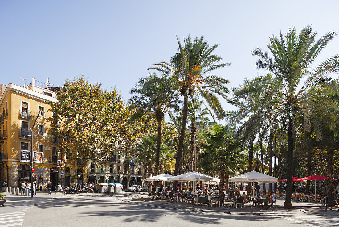 Rambla del Raval, El Raval, Ciutat Vella, Altstadt, Barcelona, Katalonien, Spanien, Europa