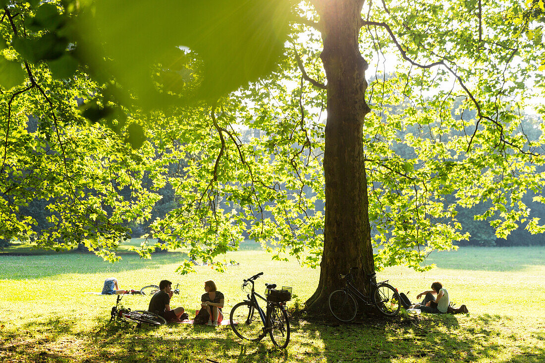 Cyclists resting in a shadow of a tree