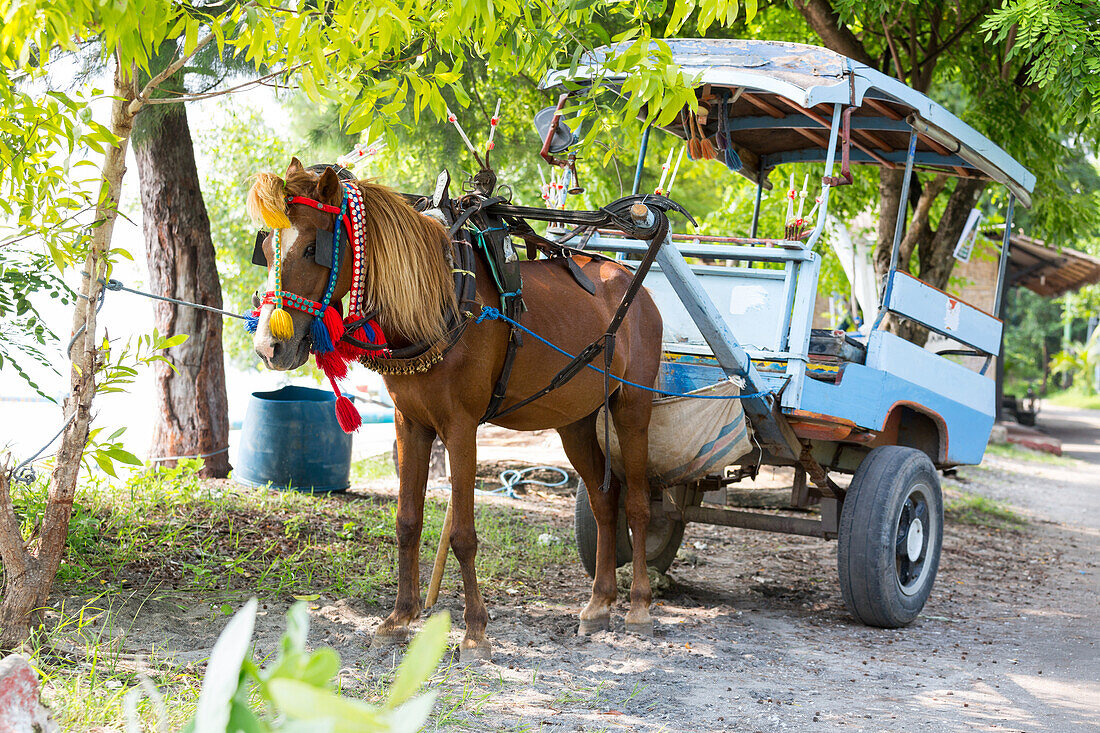 Horse-drawn carriage, Gili Air, Lombok, Indonesia